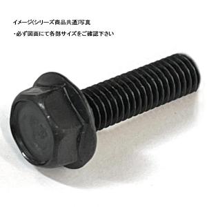 M5X16L ブラックステンレスフランジボルト
