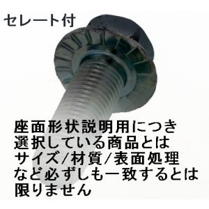 M10X 40L (P=1.25) 黒メッキ ...の詳細画像3