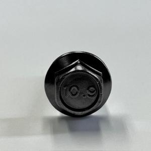 M6(P=1.0) X15L 黒メッキ10.9...の詳細画像2