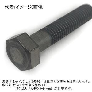 M16 X 120L(首下)ネジ部約38mm チタン六角ボルト(中) : ねじ各種と