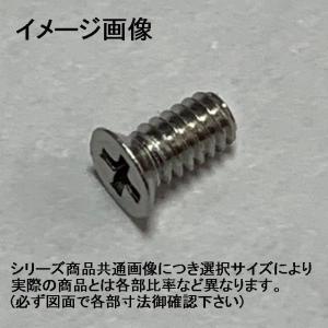 ネジご確認用 1.4 X 6.0マイクロネジ0番1種(+)ステン皿小ねじ : ねじ各種とリコイル