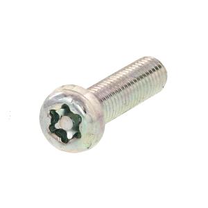 鉄/シルバーメッキ (ピン・トルクス) ナベ小ねじ M6 (太さ=6mm)×長さ=8mm　