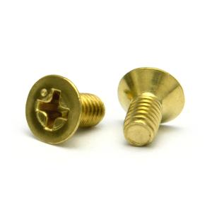 真鍮 (+) サラ小ねじ (全ねじ) M2.5 (太さ=2.5mm)×長さ=5mm　