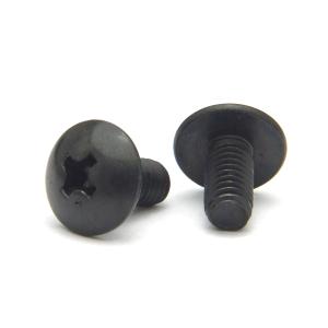 ステンレス(黒染め) (+) トラス小ねじ M2.6 (太さ=2.6mm)×長さ=6mm　【 バラ売り ： 10本入り 】｜nejiya