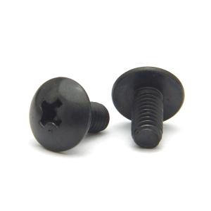 ステンレス(黒染め) (+) トラス小ねじ M5 (太さ=5mm)×長さ=12mm　