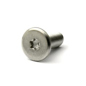 ステンレス (トルクス) スリムヘッド小ねじ M6 (太さ=6mm)×長さ=16mm　