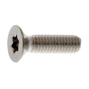 ステンレス (トルクス) サラ小ねじ M6 (太さ=6mm)×長さ=30mm　