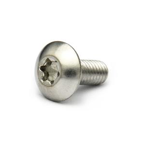 ステンレス (トルクス) トラス小ねじ M6 (太さ=6mm)×長さ=12mm　