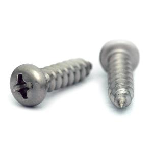 ステンレス (+) ナベタッピング [1種A形] M2 (太さ=2mm)×長さ=6mm　