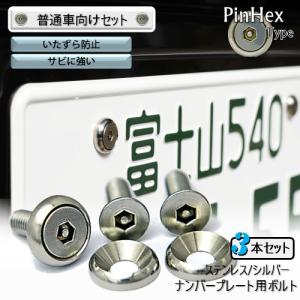 ナンバープレート用ボルト ピン付六角穴サラ ステンレス