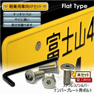 ナンバープレート用ボルト フラットタイプ ステンレス(シルバー) 4本 ＋ 工具付セット