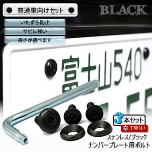 ナンバープレート用ボルト ピン・トルクスサラ ステンレス(ブラック) 3本 ＋ 工具付セット