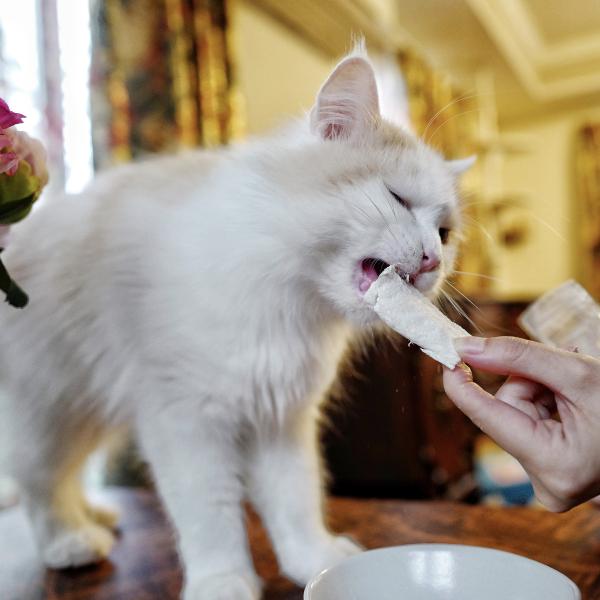 Piece 猫用 おやつ ピース フリーズドライ 天然成分100% 無添加国産