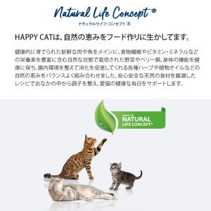 ハッピーキャット HAPPY CAT 猫 バイ...の詳細画像2