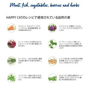 ハッピーキャット HAPPY CAT 猫 ファ...の詳細画像3