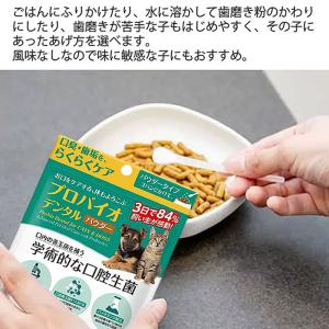 プロバイオ デンタル (犬・猫・小動物用) パ...の詳細画像2