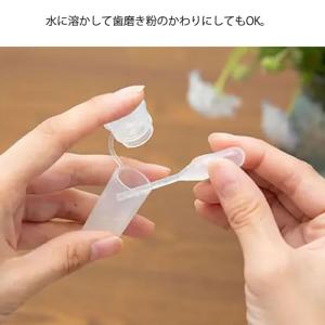 プロバイオ デンタル (犬・猫・小動物用) パ...の詳細画像3
