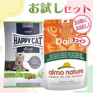 キャットフード お試し フードセット ラム ドライとパウチ ネコポス無料