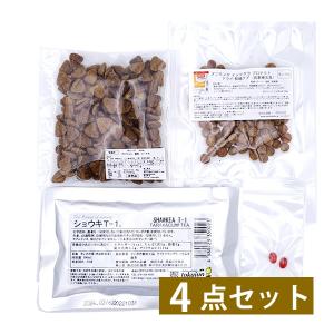お試しフードセット FSREN102A（ 腎臓ケア・タンポポ茶・ドライ・サプリ）/
