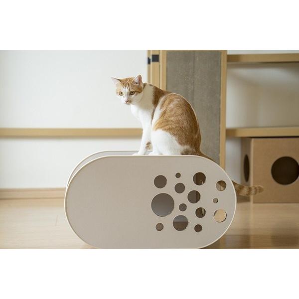 「White House」O型 ／ 猫用 キャットハウス ECOでおしゃれなデザインの日本製 ダンボ...