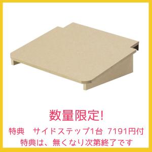 数量限定特典サイドステップ1台7191円プレゼ...の詳細画像1