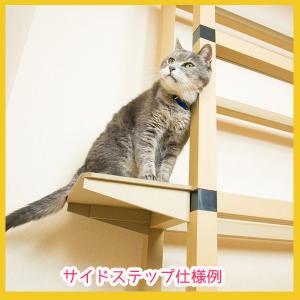 数量限定特典サイドステップ1台7191円プレゼ...の詳細画像2