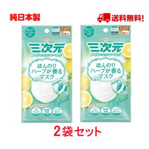 三次元マスク 興和 ラベンダーの香り 少し小さめサイズ 5枚入 ほんのり