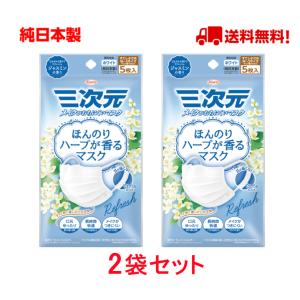 三次元マスク 興和 ラベンダーの香り 少し小さめサイズ 5枚入 ほんのり