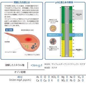 最短賞味2026.12・pH バランス キャッ...の詳細画像4