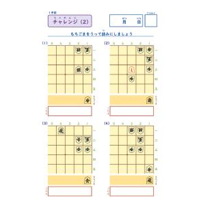 【入門・20・19・18級】詰将棋級ドリル4冊セットの詳細画像5