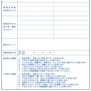 【アクアマリンcolor】猫と結婚しよう!人と...の詳細画像3