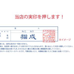 【アクアマリンcolor】猫と結婚しよう!人と...の詳細画像5