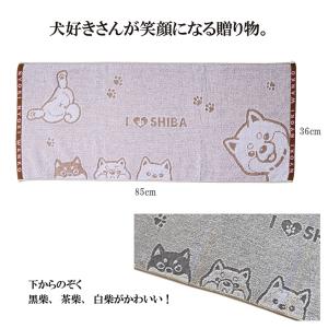 柴犬 フェイスタオル 日本製 国産 綿 ギフト...の詳細画像1