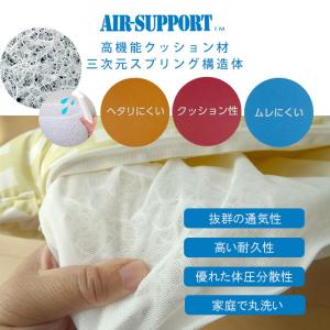 日本製 洗えるエアーサポートクッション 45×...の詳細画像1