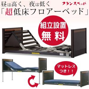 1セット限り 岡山県・鳥取県・広島県東部に限る 送料無料 組立設置無料 フランスベッド 超低床フロアーベッド FL-1402 専用マットレス付き｜nekoronta