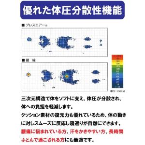 ごろ寝敷き布団 70×120×5cm ブレスエ...の詳細画像3