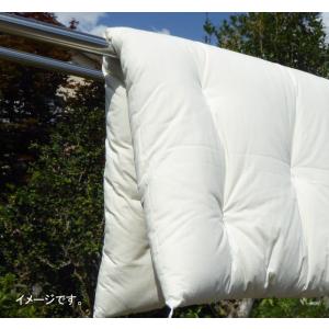 日本製 綿わたたっぷり お昼寝布団セット アル...の詳細画像3