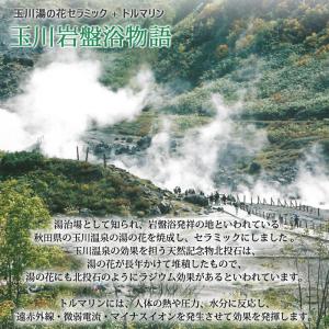 【豪華特典】専用カバープレゼント 温熱敷き布団...の詳細画像1