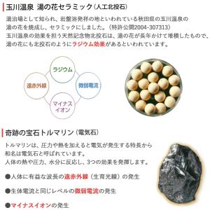 【豪華特典】専用カバープレゼント 温熱敷き布団...の詳細画像2
