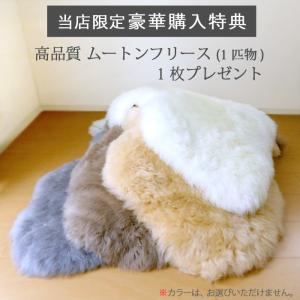 【豪華特典】専用カバープレゼント 温熱敷き布団...の詳細画像5