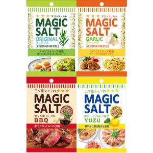 S&amp;B エスビー マジックソルト 20g 4種 各1個 計4個 便利なファスナー付き パウチ 袋入り 詰め替え 調味料 塩 アウトドア 化学調味料無添加 爆買