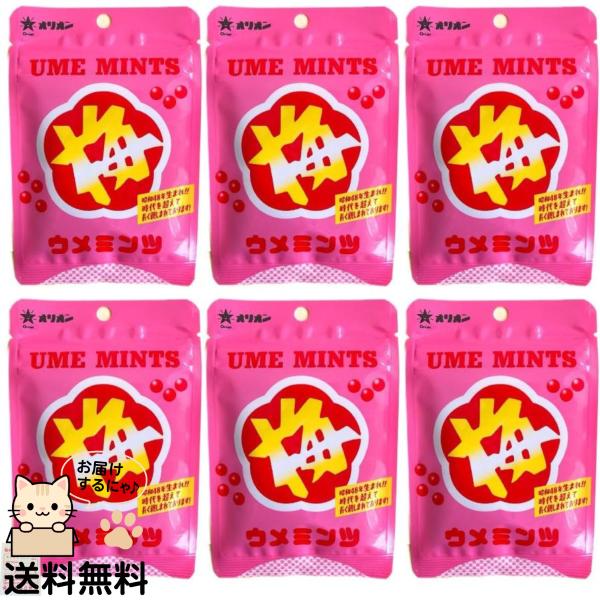 オリオン ウメミンツ パウチ 6袋 梅ミンツ 駄菓子 お試し まとめ買い 送料無料
