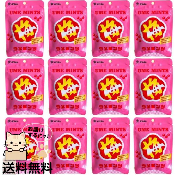 オリオン ウメミンツ パウチ 12袋 梅ミンツ 駄菓子 お試し まとめ買い 送料無料