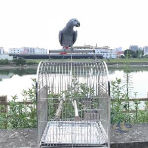 バードキャリア 錬鉄の鳥の キャリアの オウム の鳥の ケージの ステンレス鋼の 感動人生 通気性 の高い 旅行 ケージ ペット用品 Color A 犬用 猫用 お出かけ