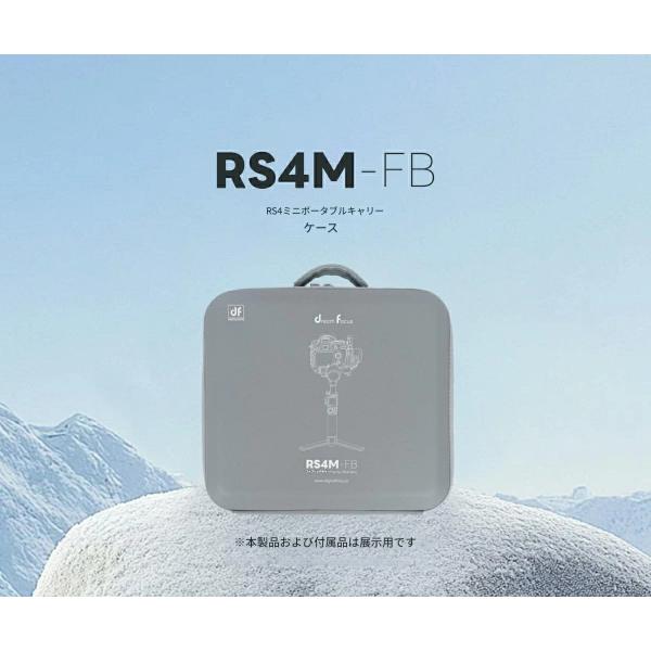 DF DIGITALFOTO RS4 Miniケース RS4M-FB
