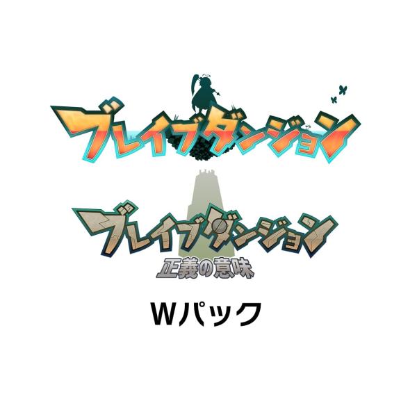 新品 Nintendo Switch ブレイブダンジョン Wパック