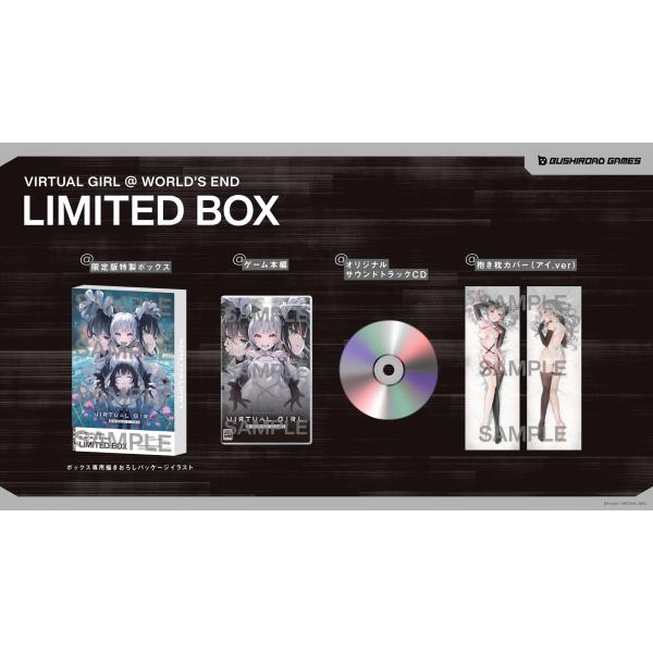 新品 Nintendo Switch VIRTUAL GIRL @ WORLD‘S END 限定版