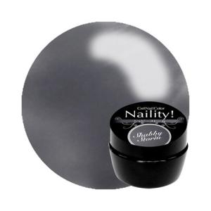 Naility! ジェルネイルカラー 452 シャビーストーム 4g