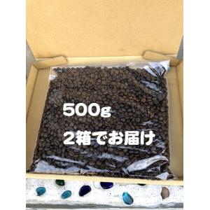 ミケランジェロ1kg　ネルソン　コーヒー　ロースター　仙台｜Nelson Coffee Roaster