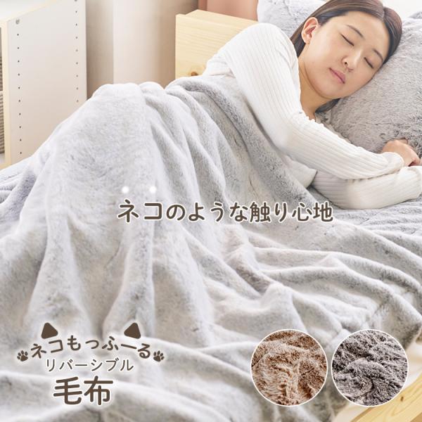 毛布 ふわとろ毛布 ネコもっふーる もうふ シングル 猫 ねこ ふわとろ毛布 2枚合わせ 暖かい ふ...
